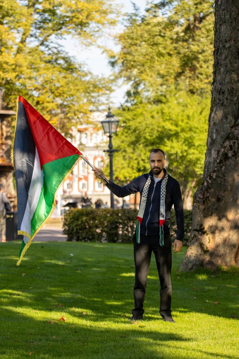 Free stock photo of 2025, 4k, 4k photo